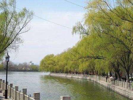 На фото: Парк Shichahai — одно из красивейших мест в Пекине