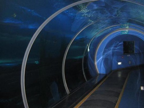 На фото: тоннель в Qingdao Underwater World